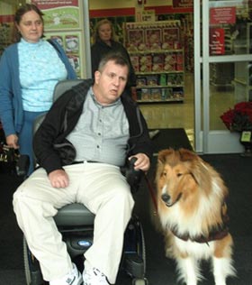 Kings Valley Collies service dog Brynn assisting with Scott.