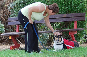 Alzheimer's Aid dog Keshet, from Kings Valley After All, helps her partner Miriam.