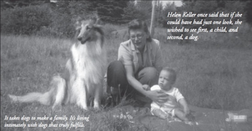 Kings Valley Collies founder Eva Rappaport as a young mother with Leslie and Angel.