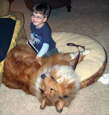 Barry, a collie who partners with an autistic child as a support dog, plays with his partner Michael. 