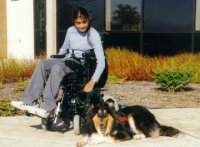Kings Valley Collies mobility dog Silly helps his partner Meghla, even when she's in a wheelchair.