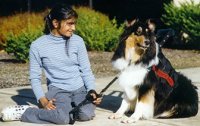 Kings Valley Collies mobility dog Silly with his partner Meghla.